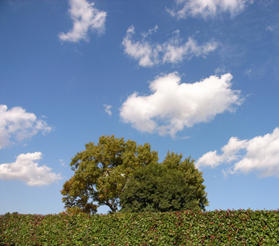 青い空と 白い壁_d0031378_1791456.jpg