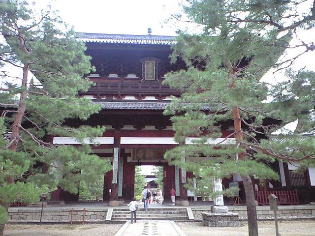 夏の終わりと センチメンタルジャニー 3_b0005281_1122295.jpg