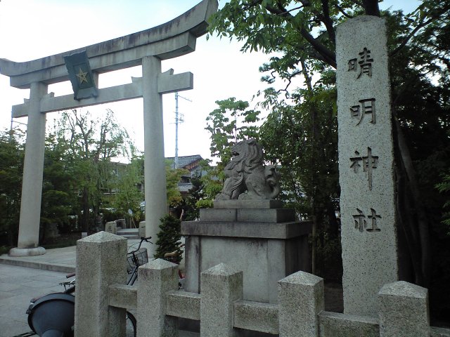 夏の終わりと センチメンタルジャニー 3_b0005281_1182340.jpg