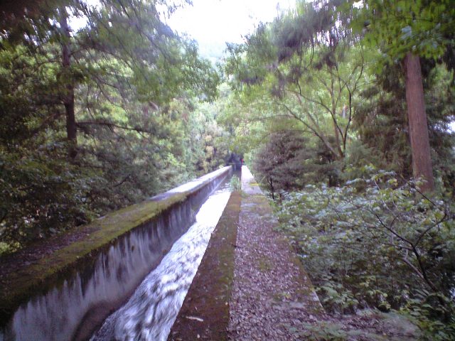 夏の終わりと センチメンタルジャニー 4_b0005281_22123315.jpg