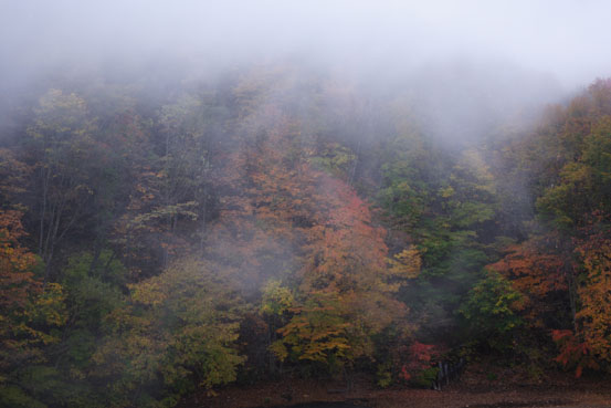 東北紅葉撮影行　その２　八幡平_e0165983_1744139.jpg