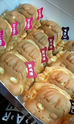 W41CA→W63CAにしようと思ったけど、痒いとこに手が届かな…_e0146185_17101639.jpg