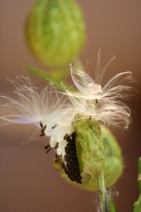 c0129389_8403450.jpg
