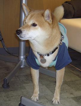 e0023790_20102311.jpg