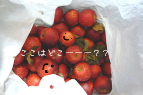 e0053491_940623.gif