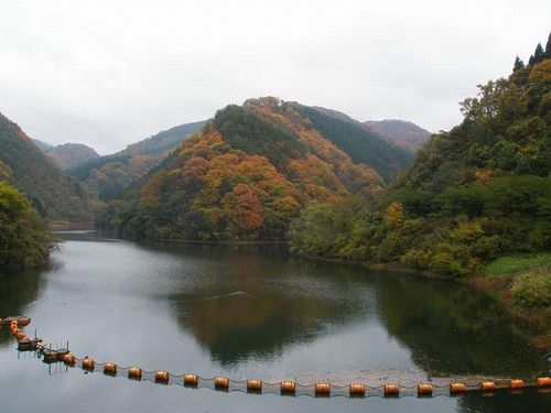 新穂銀山とトキの里山を歩く会 の活動_e0097893_2213742.jpg