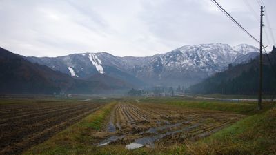 a0079098_2252454.jpg