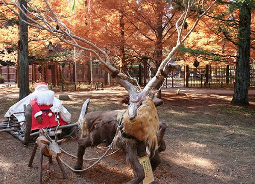 神戸の山の紅葉_b0051598_2202427.jpg