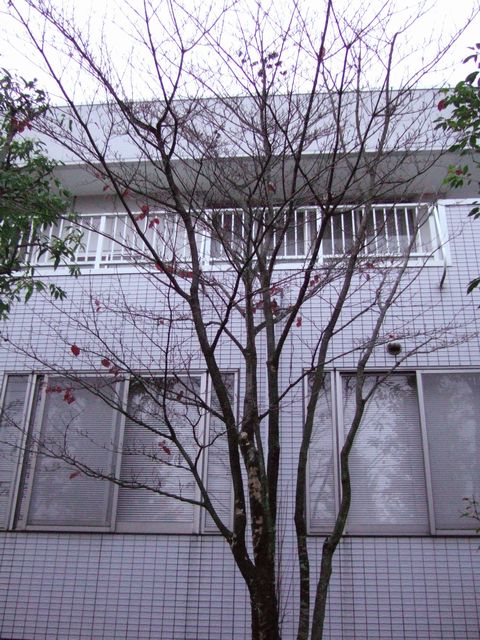 写真で見ると_f0108604_7392145.jpg