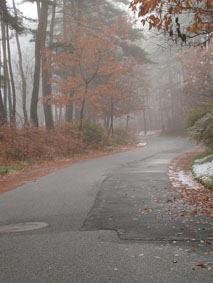 c0047814_22322012.jpg