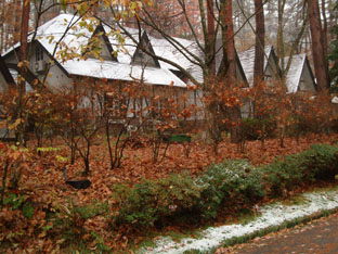 c0047814_22323910.jpg