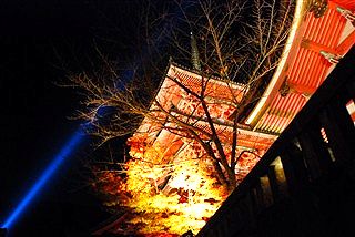 いざ、リヨンへ!!・・・と思いきや、_c0116714_4135286.jpg