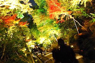 いざ、リヨンへ!!・・・と思いきや、_c0116714_5113639.jpg