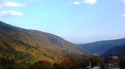 晴れてきましたね～♪　箱根紅葉、そしてJUANA MOLINA来日LIVE！_b0032617_1456913.jpg