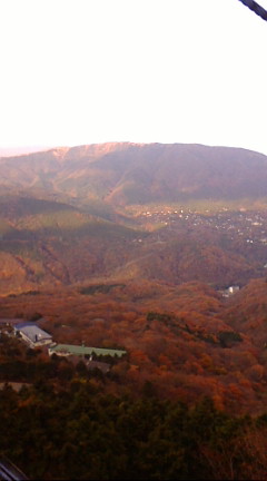 晴れてきましたね～♪　箱根紅葉、そしてJUANA MOLINA来日LIVE！_b0032617_15464392.jpg