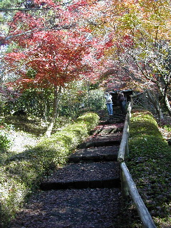 １月 某日　雨のち曇り_b0041520_8205068.jpg