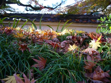 f0143521_020793.jpg
