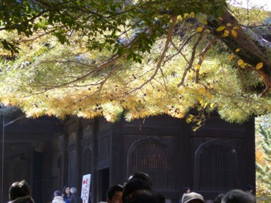 f0143521_0222277.jpg