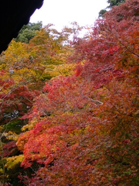 f0143521_044583.jpg