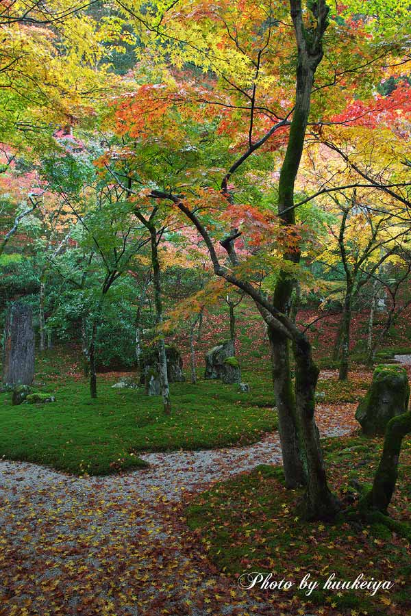 大宰府・光明禅寺_f0035323_7123398.jpg