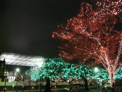 b0147224_21563643.jpg