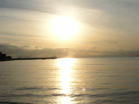 e0071225_87163.jpg