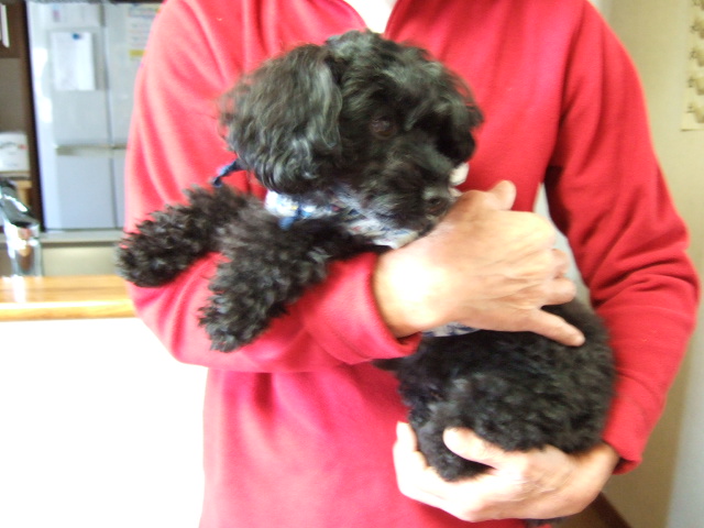 熊本のプーチャ より_f0076529_12151459.jpg