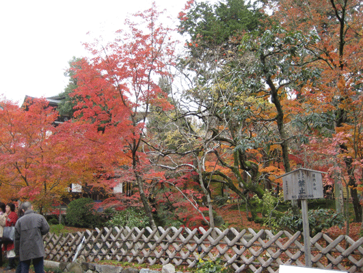 d0048332_2182966.gif