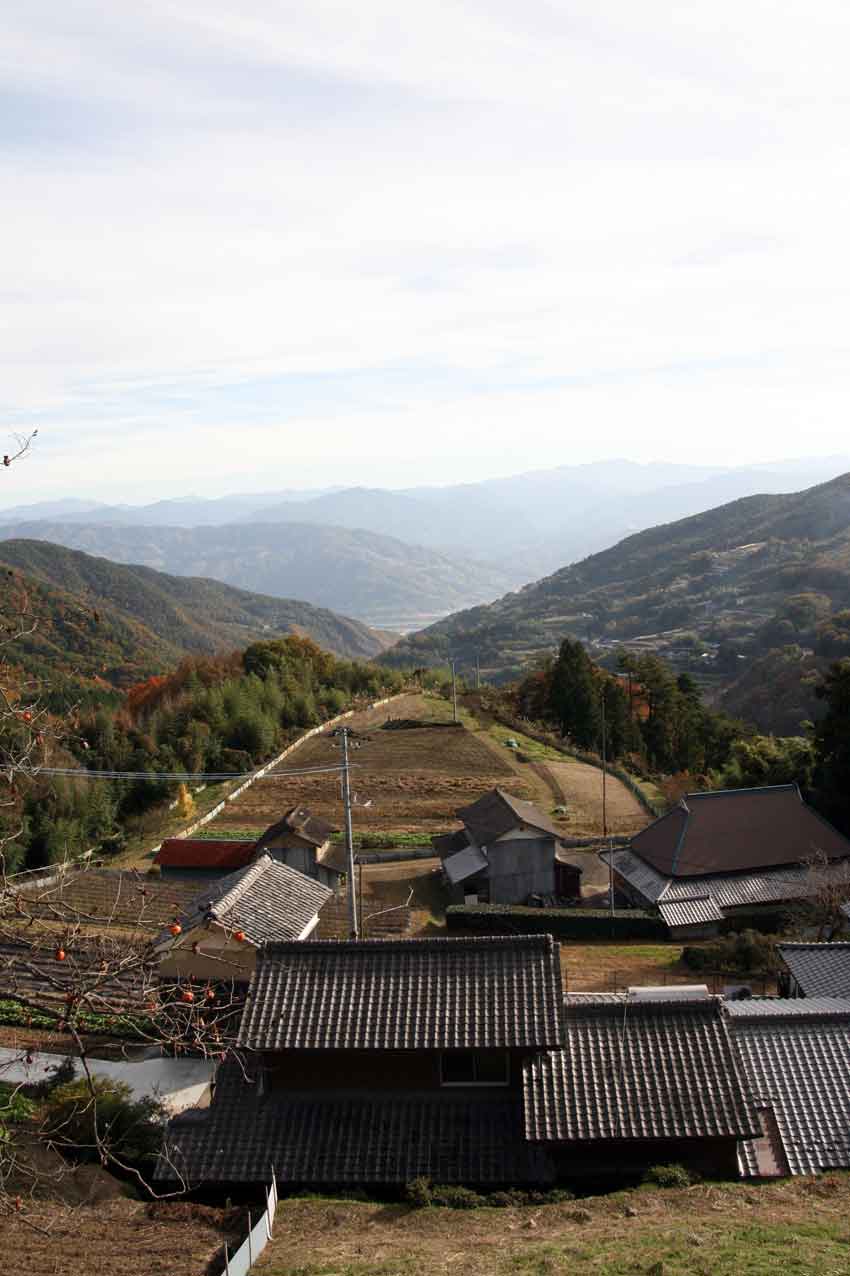 三頭山付近の風景♪_d0058941_21423984.jpg