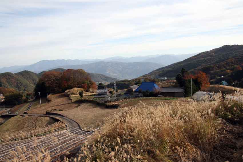 三頭山付近の風景♪_d0058941_21443661.jpg