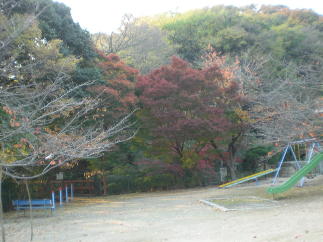 b0152548_19105516.jpg