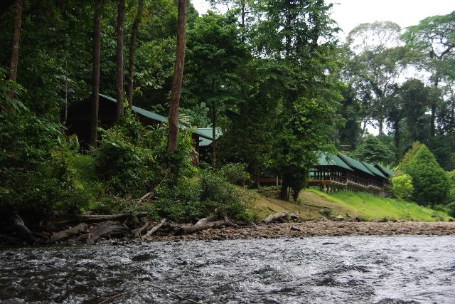 ブルネイ（５）　テンブロン熱帯雨林　その３　テンブロン川_c0011649_8163848.jpg