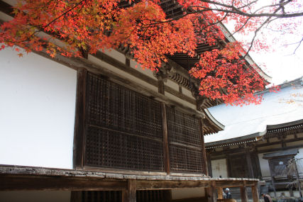 高雄・神護寺の紅葉_c0073649_2225666.jpg