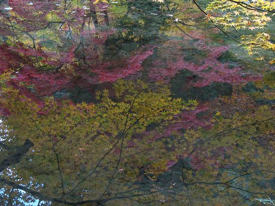 京都・南禅寺南禅院の紅葉_b0063958_23433167.jpg