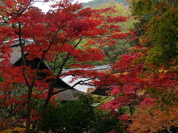 京都・南禅寺南禅院の紅葉_b0063958_23435599.jpg