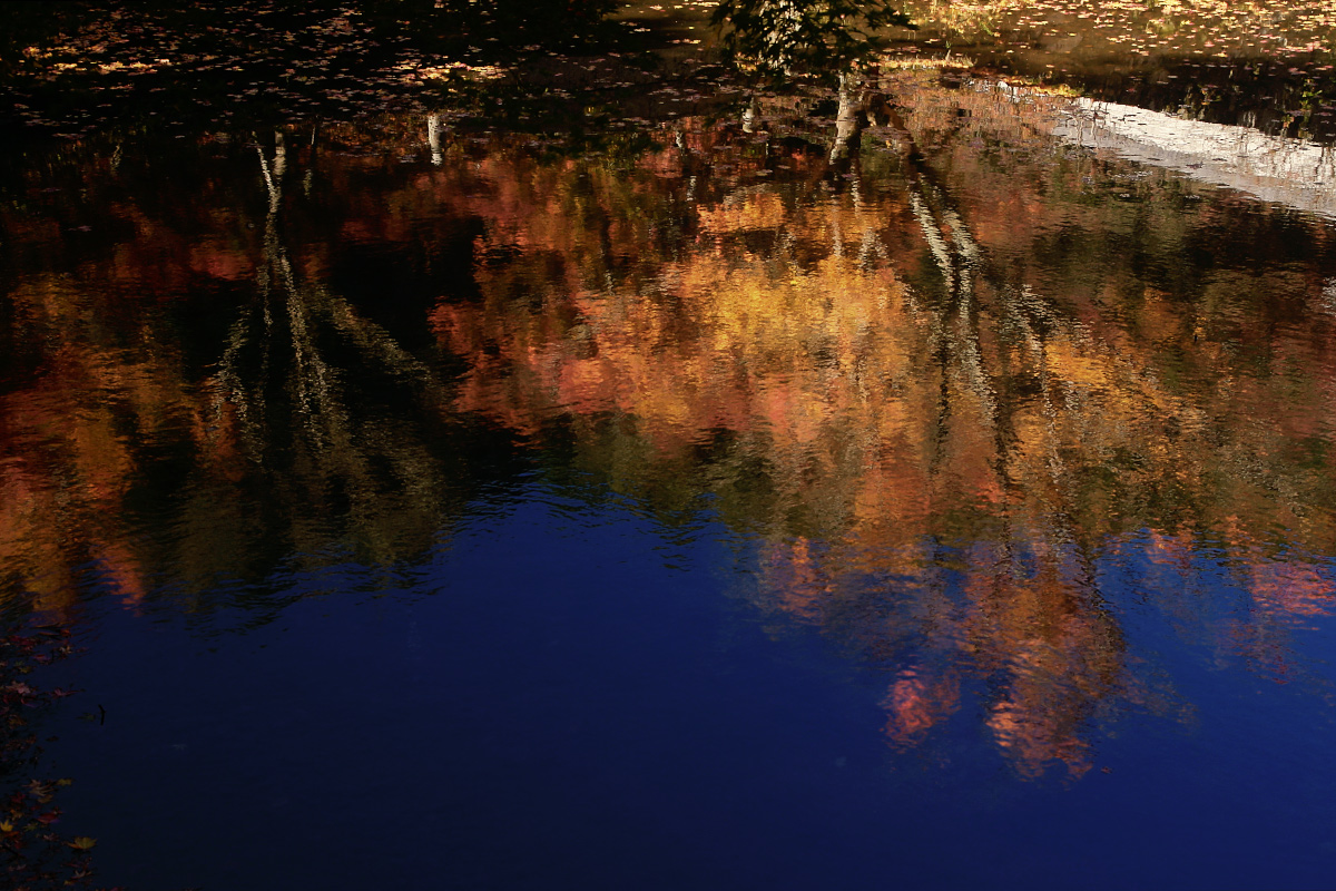 タン、タン、丹波の紅葉オフ　円通寺　1_f0021869_23485948.jpg