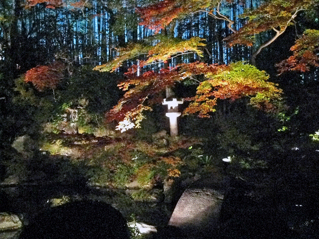 b0041473_15484465.gif