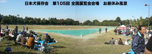 日本犬保存会 第105回全国展に見学行って来ました 柴と徒然日記