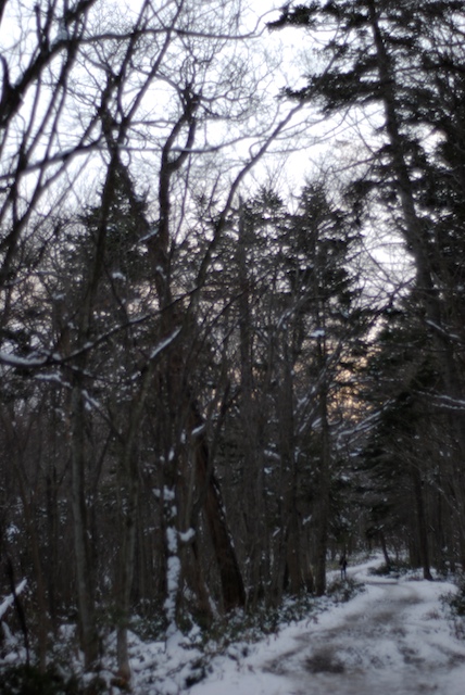 野幌森林公園にて_f0126483_23511548.jpg