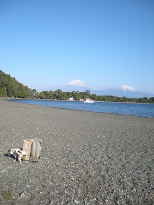 f0166084_11065.jpg
