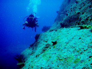 最後の締めは、やっぱりシミラン諸島!_f0144385_74567.jpg