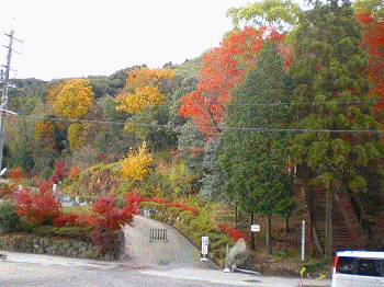 a0109288_223365.gif