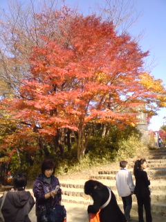 a0027592_941301.jpg