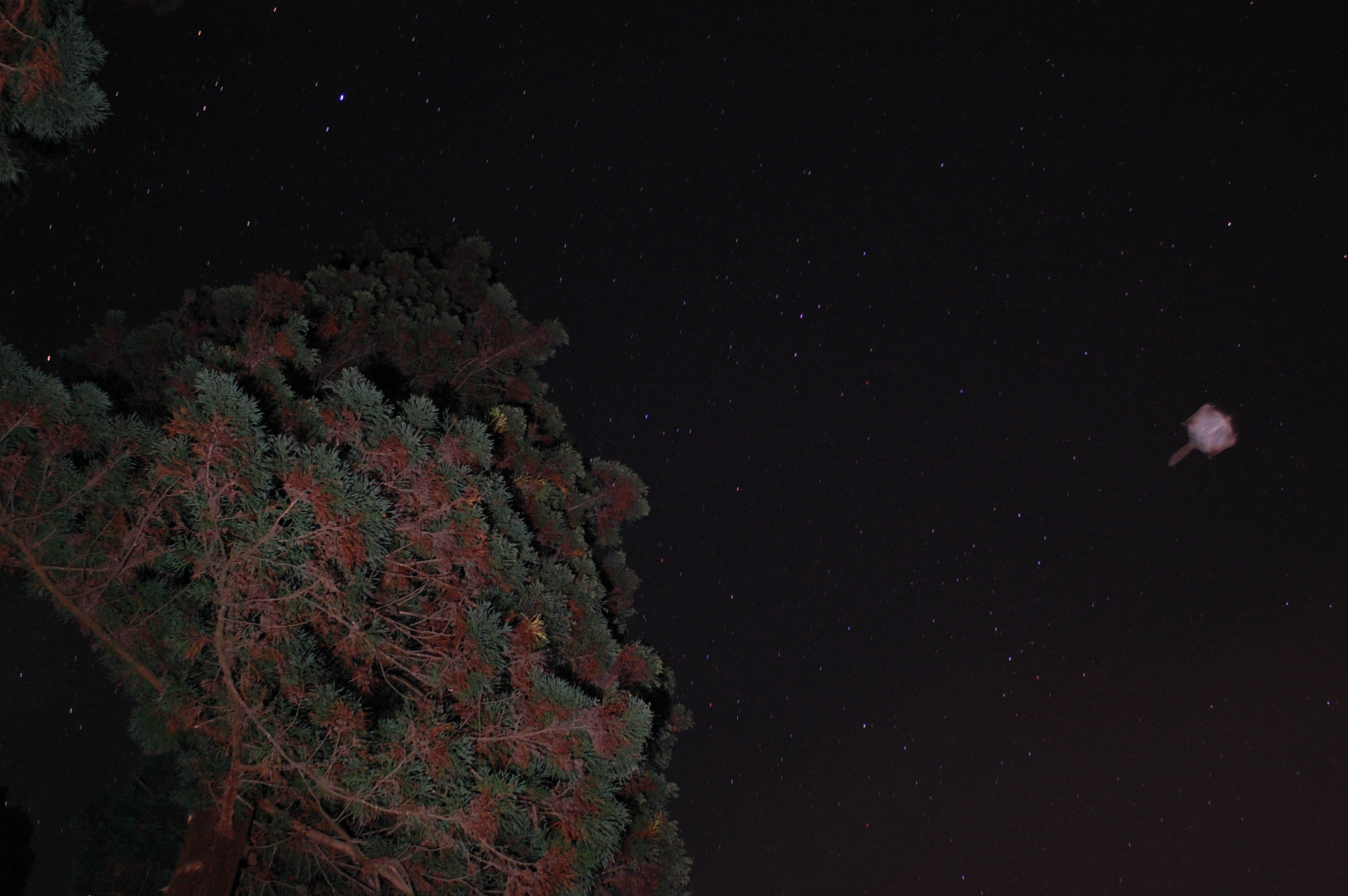 f0047593_6264097.jpg
