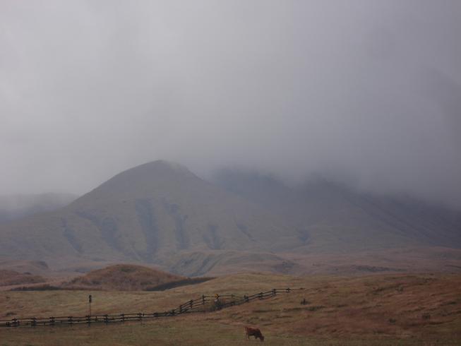 f0075595_12451616.jpg
