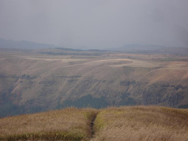 f0075595_1392227.jpg