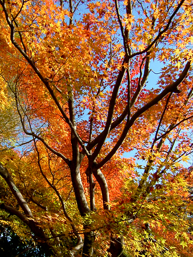 f0110699_2355276.jpg