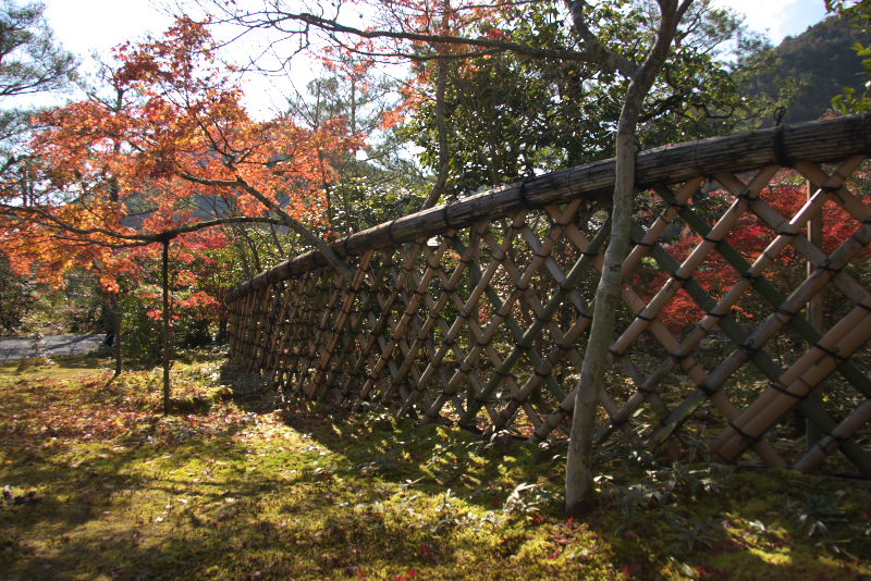 紅葉シリーズ４　鷹峯　光悦寺_a0046000_19657100.jpg