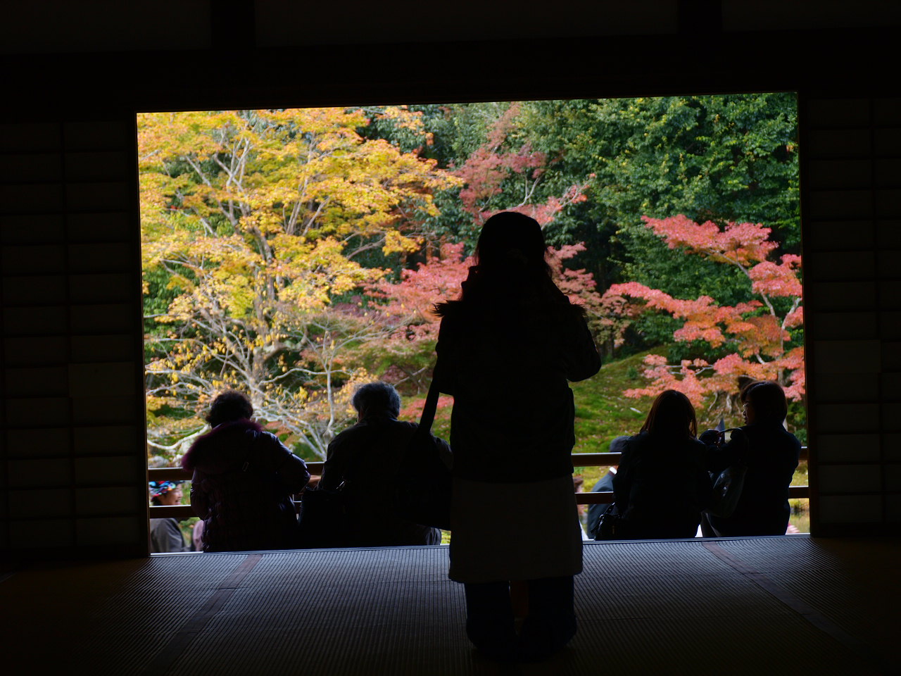 ０８京都⑤紅葉番外編_d0020300_23463636.jpg