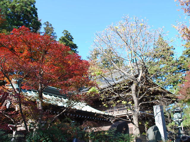c0090703_13622.jpg